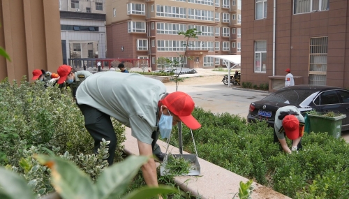 文明创城常态化 莱芜战役纪念馆采取硬核措施 做好文明城市复核迎检